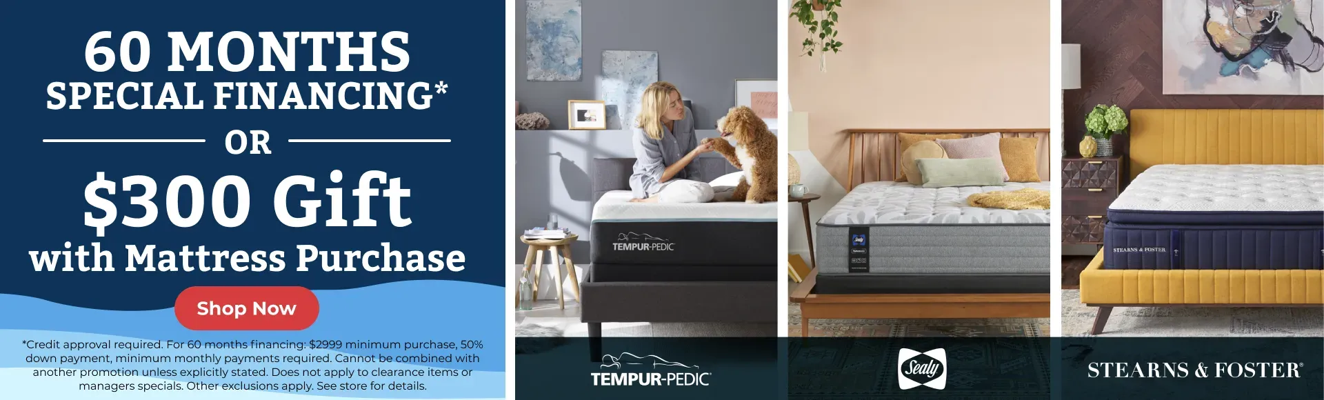 Winter Clearance Evergreen Stearns, Sealy, Tempur-Pedic